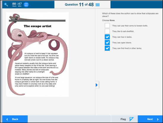 screenshot of online assessment question